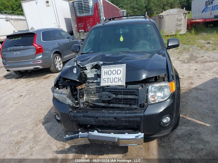 2011 Ford Escape Limited VIN: 1FMCU9EG6BKB61886 Lot: 12058045
