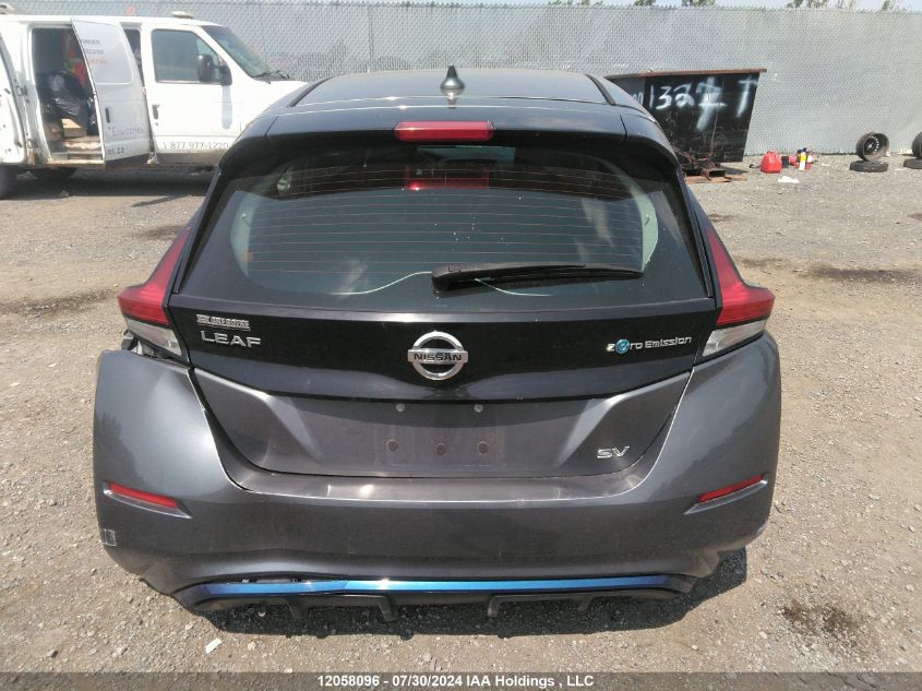 2019 Nissan Leaf VIN: 1N4AZ1CP1KC301196 Lot: 12058096