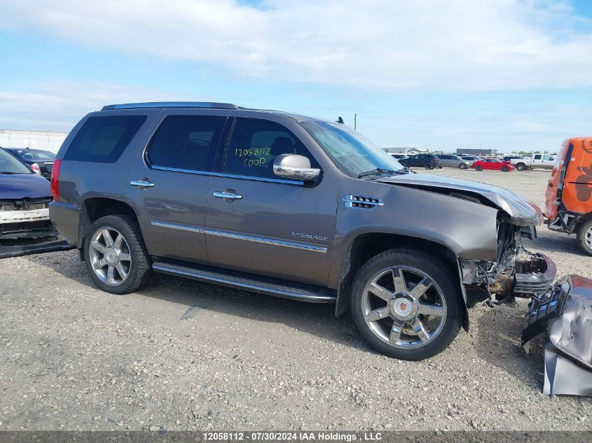 2013 Cadillac Escalade Luxury VIN: 1GYS4BEF4DR202146 Lot: 12058112