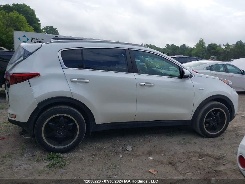 2018 Kia Sportage VIN: KNDPNCAC7J7443667 Lot: 12058220