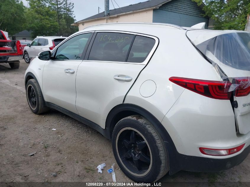 2018 Kia Sportage VIN: KNDPNCAC7J7443667 Lot: 12058220