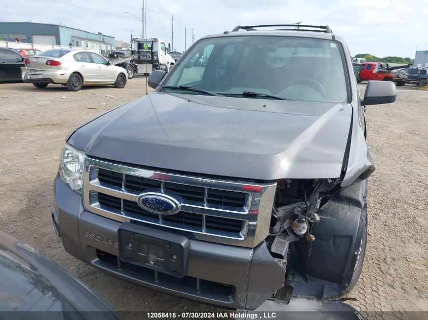 2009 Ford Escape Xlt VIN: 1FMCU93G69KB07338 Lot: 12058418