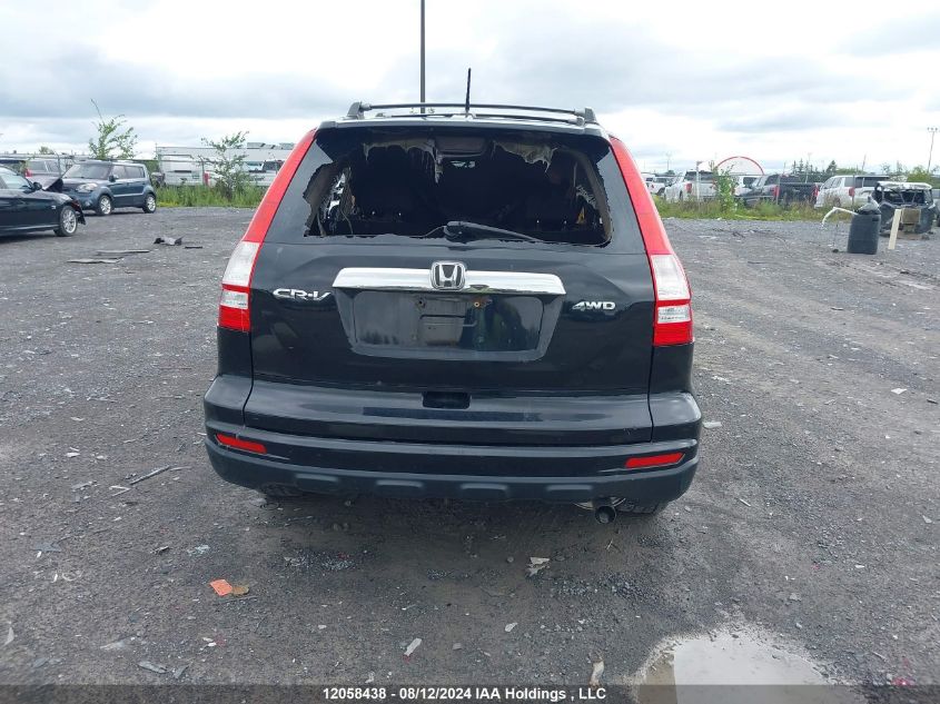 2010 Honda Cr-V VIN: 5J6RE4H74AL815667 Lot: 12058438
