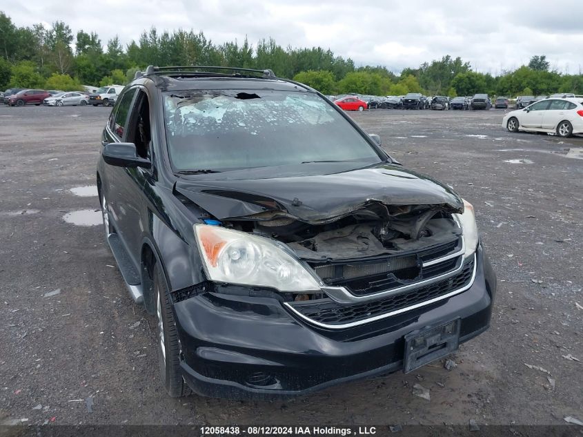 2010 Honda Cr-V VIN: 5J6RE4H74AL815667 Lot: 12058438