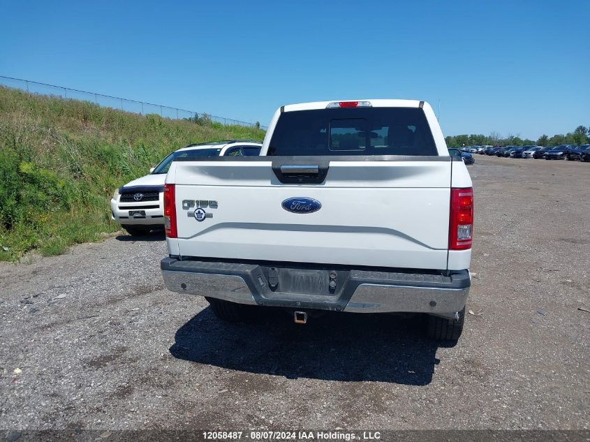 2017 Ford F-150 Xlt VIN: 1FTEW1EG6HFC62422 Lot: 12058487