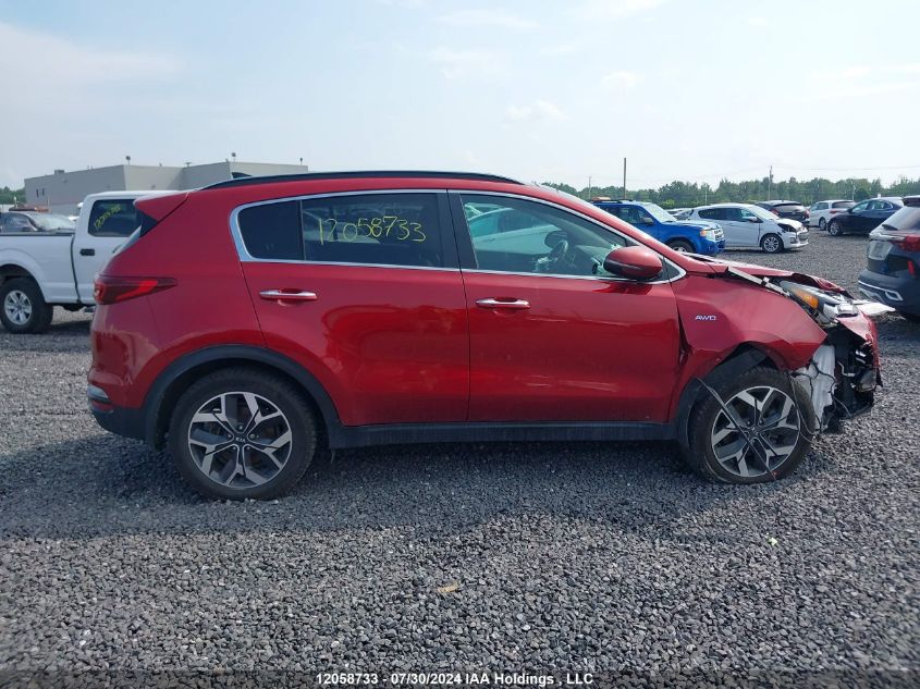 2020 Kia Sportage VIN: KNDPNCAC6L7648917 Lot: 12058733