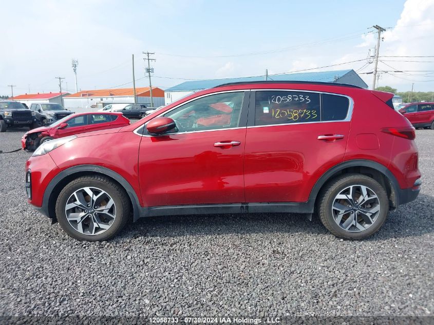 2020 Kia Sportage VIN: KNDPNCAC6L7648917 Lot: 12058733