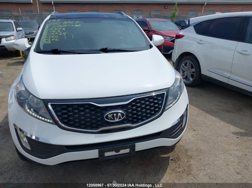 2011 Kia Sportage VIN: KNDPCCA6XB7153103 Lot: 12058967