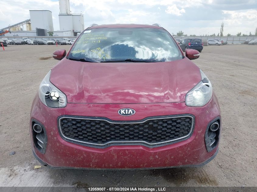 2017 Kia Sportage VIN: KNDPNCAC6H7105154 Lot: 12059007