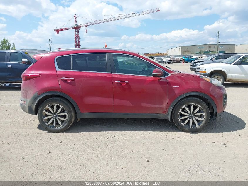 2017 Kia Sportage VIN: KNDPNCAC6H7105154 Lot: 12059007