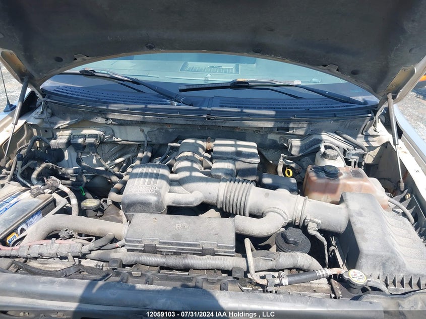 2010 Ford F-150 VIN: 1FTFX1EV3AFD68705 Lot: 12059103