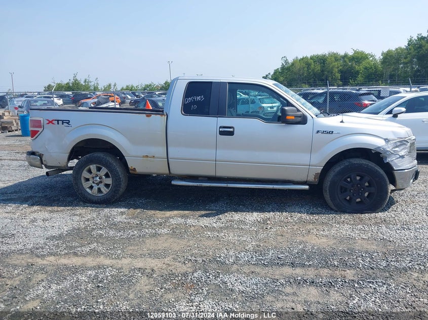 2010 Ford F-150 VIN: 1FTFX1EV3AFD68705 Lot: 12059103