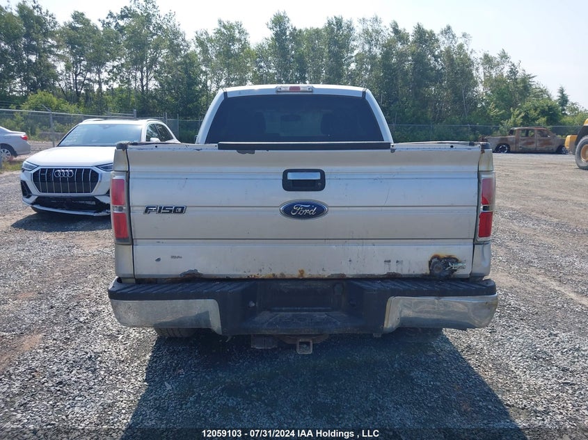 2010 Ford F-150 VIN: 1FTFX1EV3AFD68705 Lot: 12059103