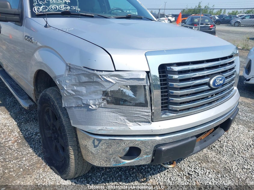 2010 Ford F-150 VIN: 1FTFX1EV3AFD68705 Lot: 12059103