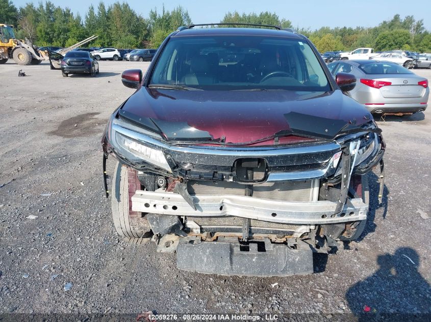 2019 Honda Pilot VIN: 5FNYF6H67KB502392 Lot: 12059276