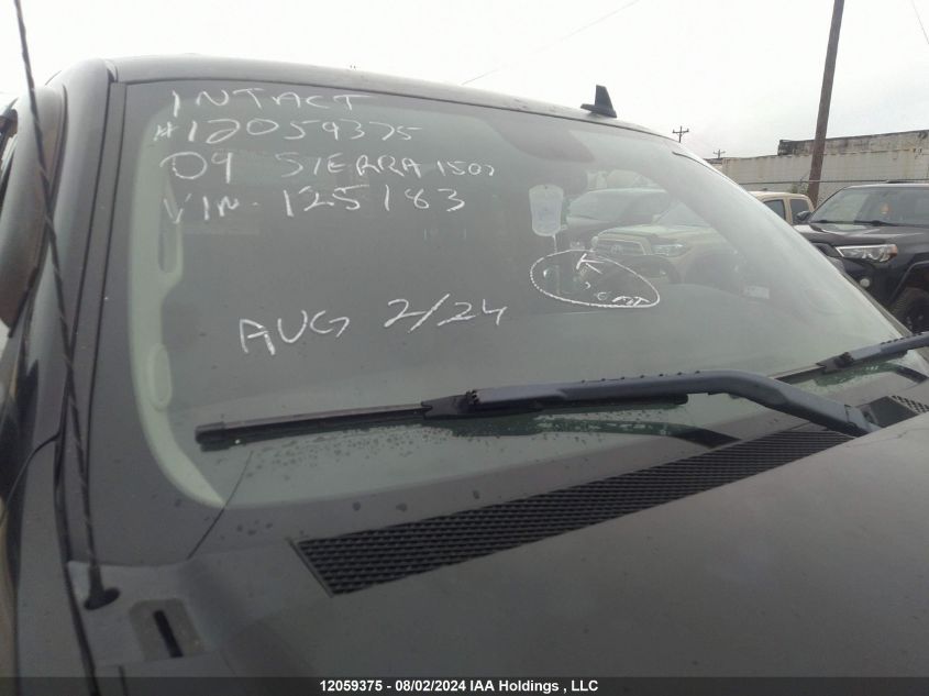 2009 GMC Sierra 1500 VIN: 2GTEK133391125183 Lot: 12059375