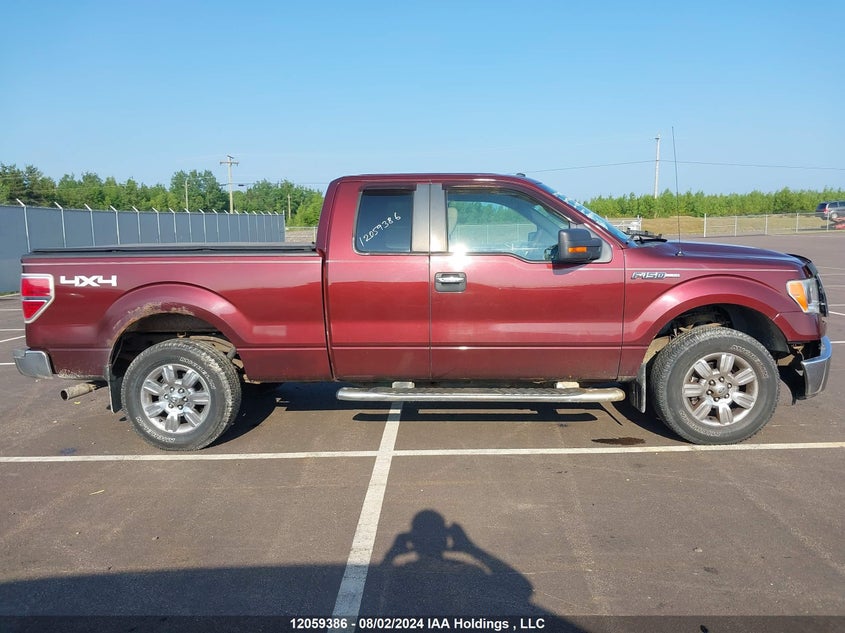 2009 Ford F-150 VIN: 1FTRX14889FB42891 Lot: 12059386