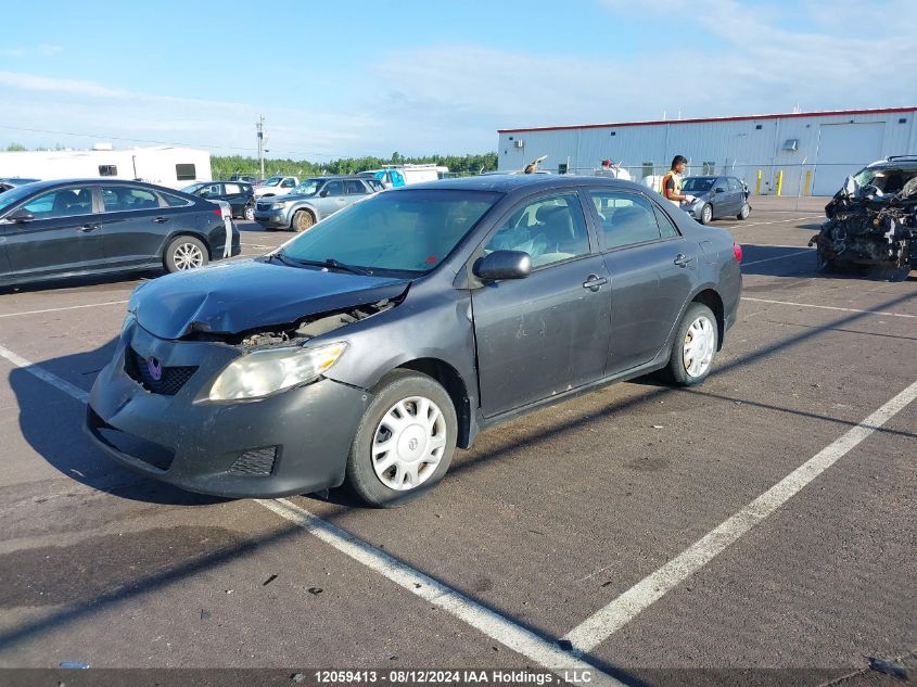 2009 Toyota Corolla S/Le/Xle VIN: 2T1BU40E19C135815 Lot: 12059413