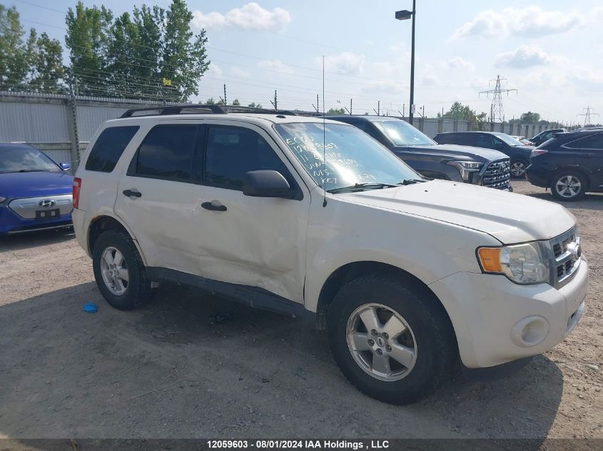 2011 Ford Escape Xlt Automatic VIN: 1FMCU0D74BKB75654 Lot: 12059603