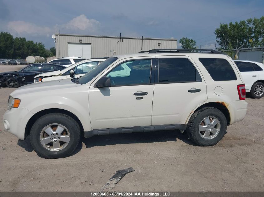 2011 Ford Escape Xlt Automatic VIN: 1FMCU0D74BKB75654 Lot: 12059603
