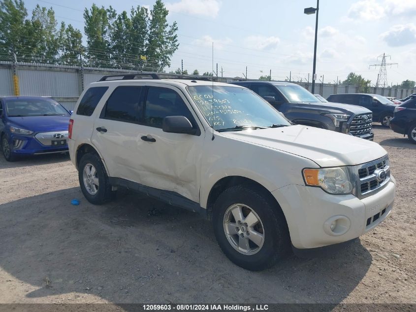2011 Ford Escape Xlt Automatic VIN: 1FMCU0D74BKB75654 Lot: 12059603