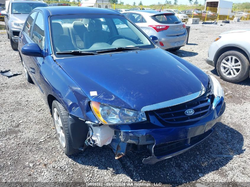 2006 Kia Spectra VIN: KNAFE121365219969 Lot: 12059762