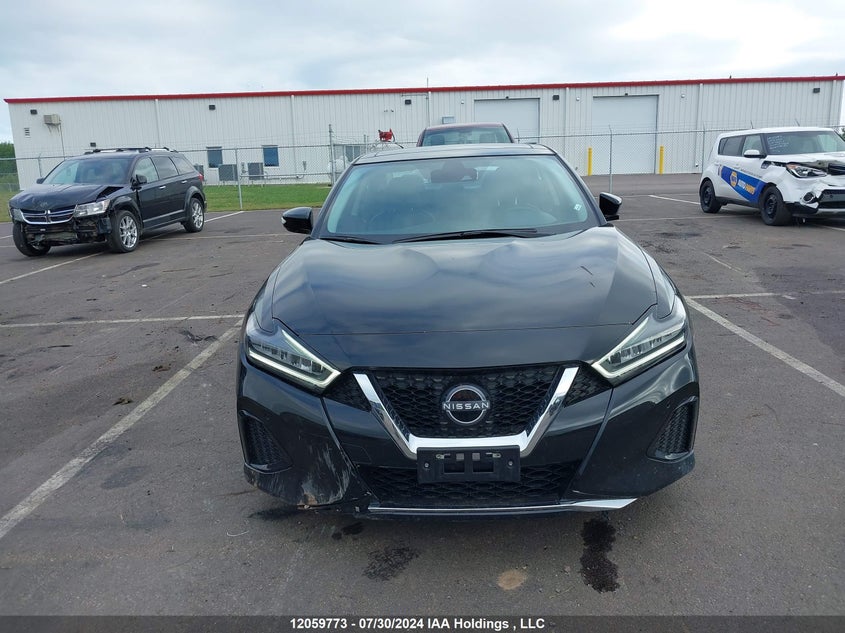 2023 Nissan Maxima VIN: 1N4AA6DV6PC509938 Lot: 12059773