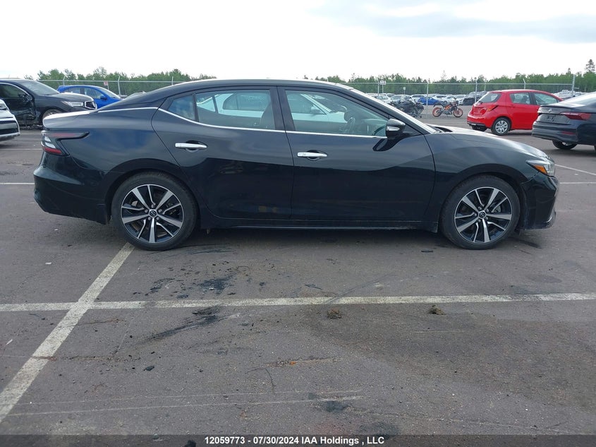 2023 Nissan Maxima VIN: 1N4AA6DV6PC509938 Lot: 12059773