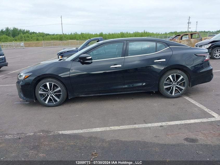 2023 Nissan Maxima VIN: 1N4AA6DV6PC509938 Lot: 12059773