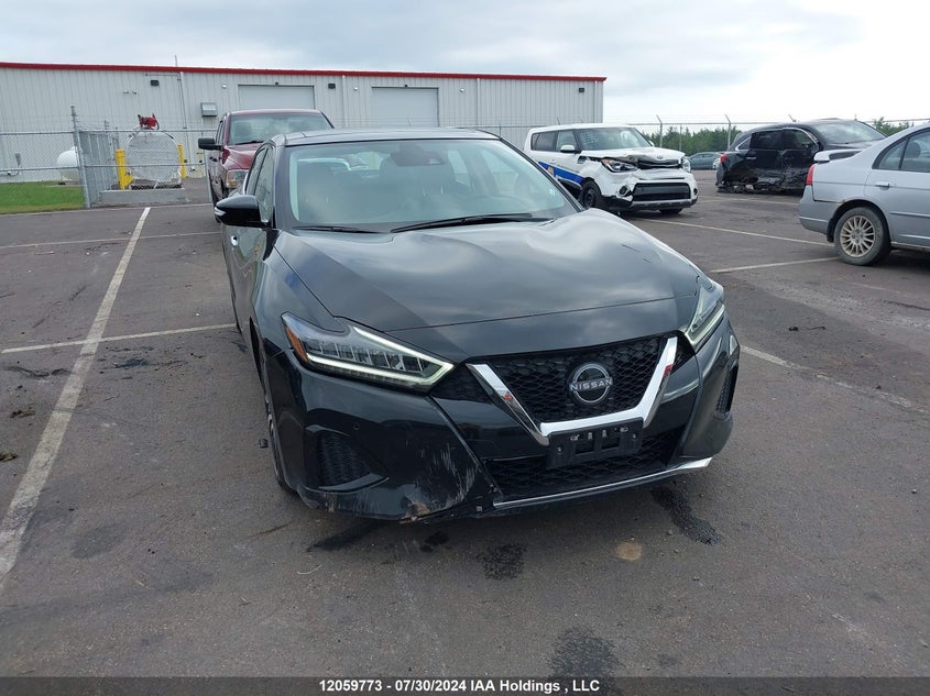 2023 Nissan Maxima VIN: 1N4AA6DV6PC509938 Lot: 12059773