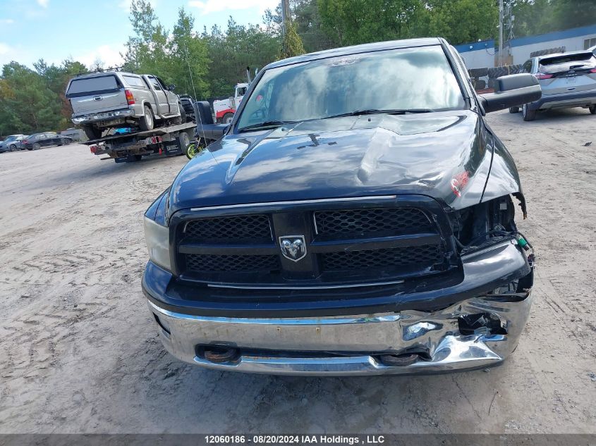 2010 Dodge Ram 1500 Slt/Sport/Trx VIN: 1D7RV1GT9AS229609 Lot: 12060186