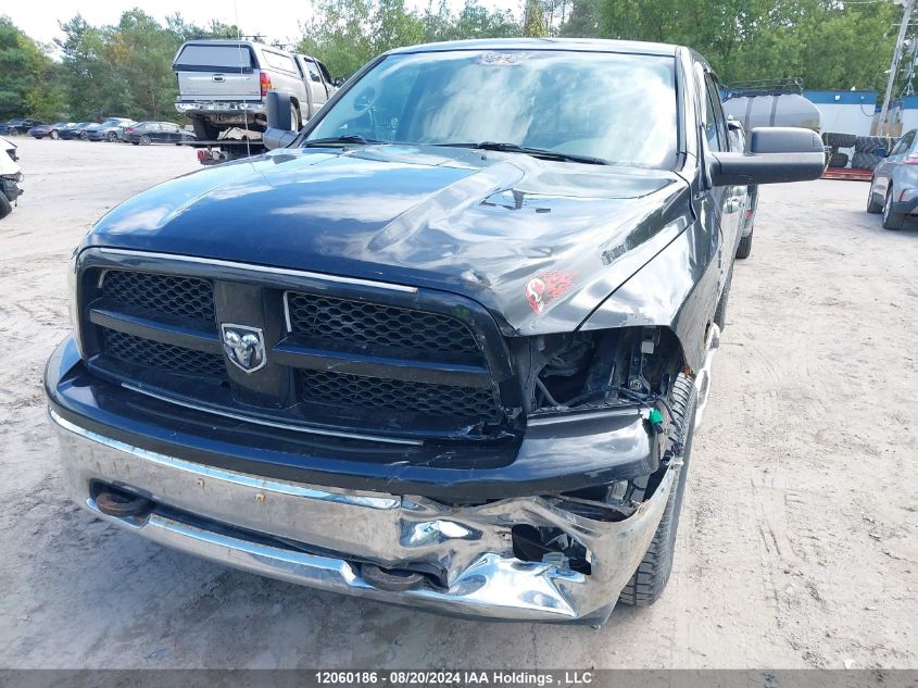 2010 Dodge Ram 1500 Slt/Sport/Trx VIN: 1D7RV1GT9AS229609 Lot: 12060186