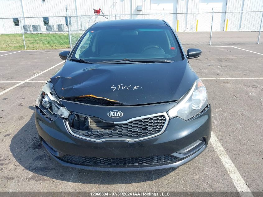 2016 Kia Forte VIN: KNAFK4A68G5530533 Lot: 12060594