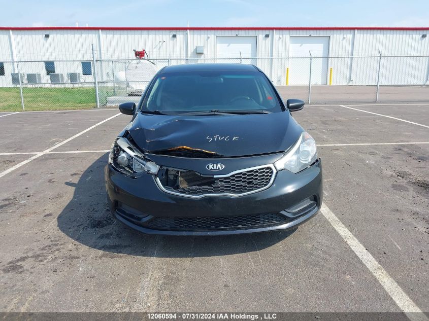 2016 Kia Forte VIN: KNAFK4A68G5530533 Lot: 12060594