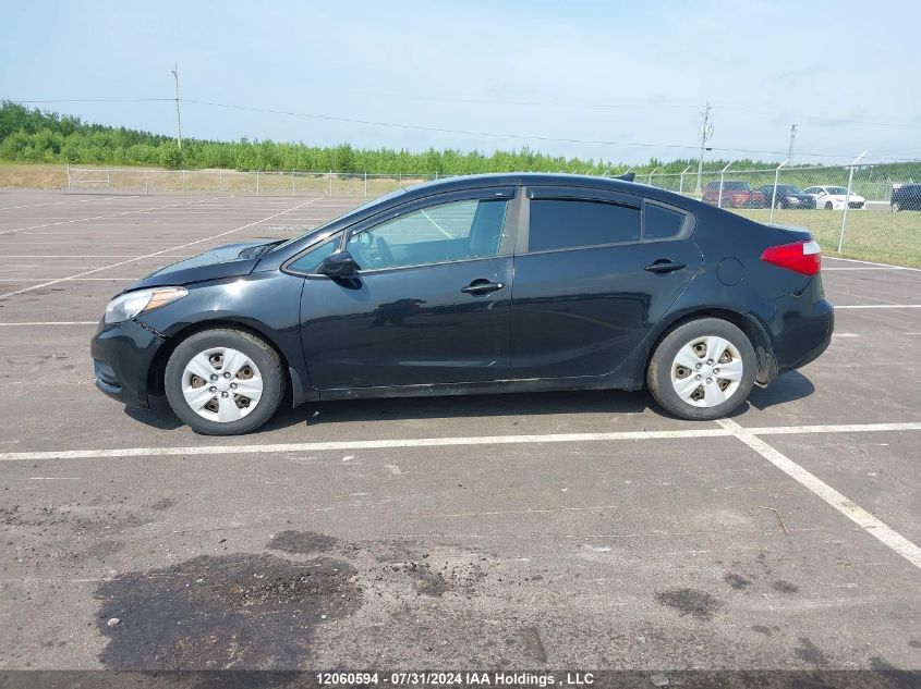 2016 Kia Forte VIN: KNAFK4A68G5530533 Lot: 12060594