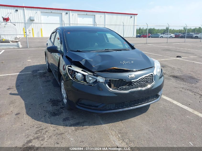 2016 Kia Forte VIN: KNAFK4A68G5530533 Lot: 12060594