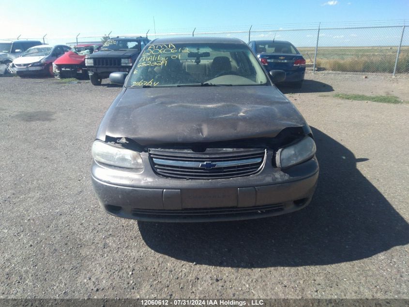 2001 Chevrolet Malibu VIN: 1G1ND52J21M652229 Lot: 12060612