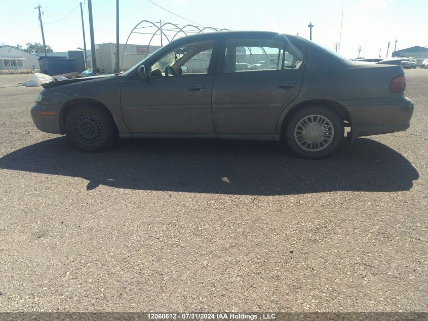 2001 Chevrolet Malibu VIN: 1G1ND52J21M652229 Lot: 12060612