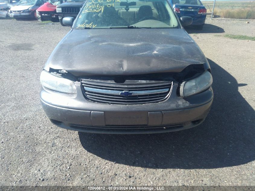 2001 Chevrolet Malibu VIN: 1G1ND52J21M652229 Lot: 12060612