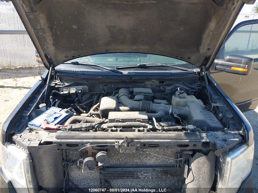 2010 Ford F-150 VIN: 1FTFW1EVXAFC13247 Lot: 12060747