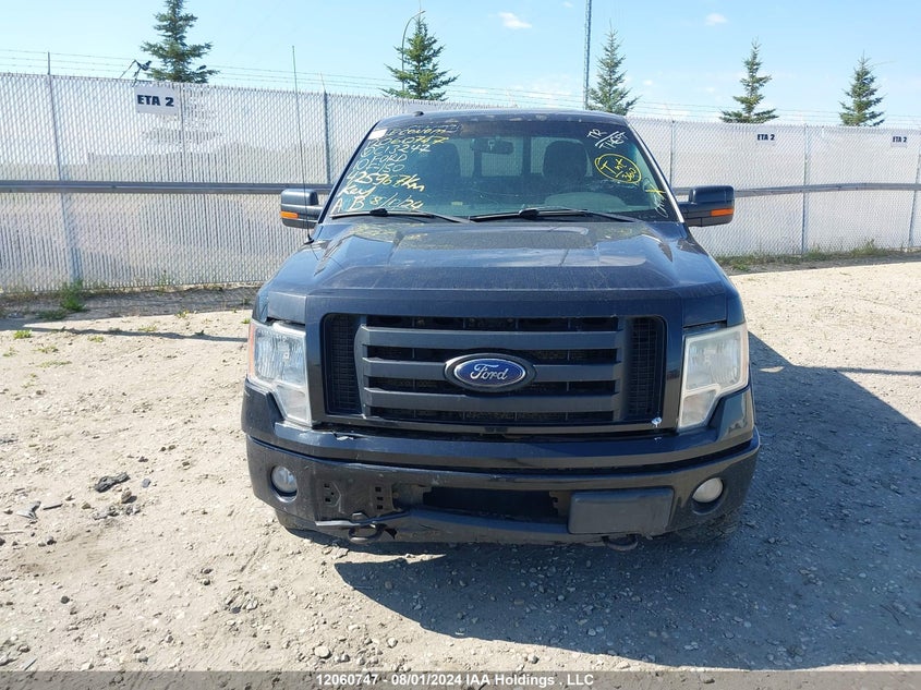 2010 Ford F-150 VIN: 1FTFW1EVXAFC13247 Lot: 12060747