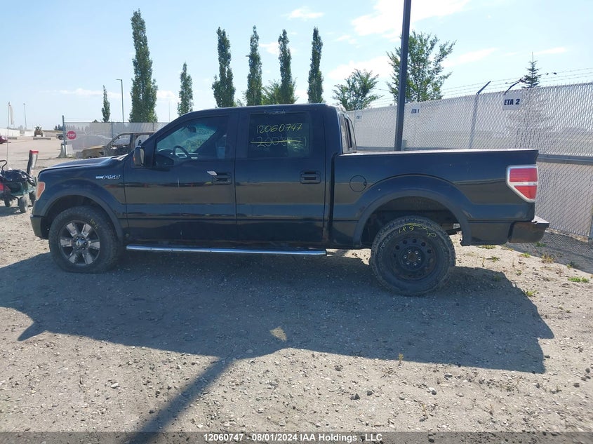 2010 Ford F-150 VIN: 1FTFW1EVXAFC13247 Lot: 12060747