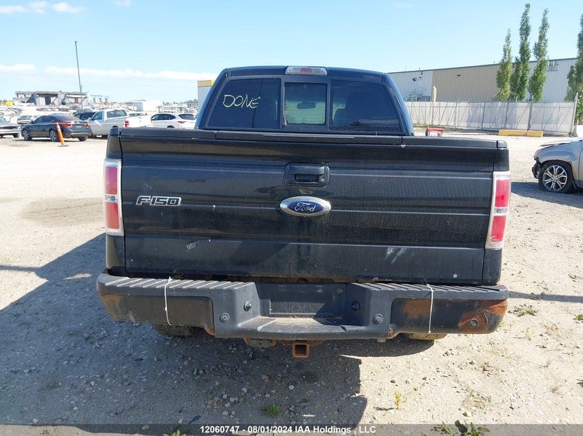 2010 Ford F-150 VIN: 1FTFW1EVXAFC13247 Lot: 12060747