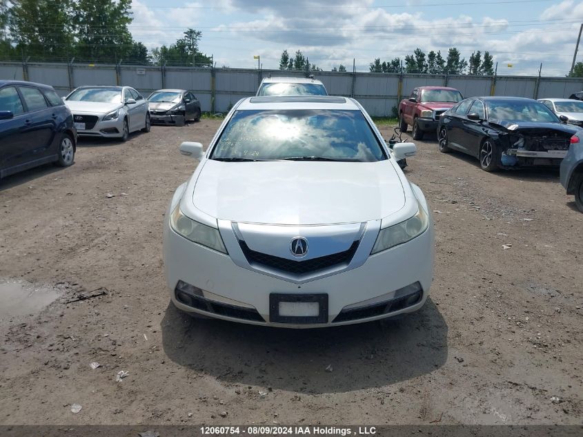 2010 Acura Tl VIN: 19UUA8F28AA801133 Lot: 12060754