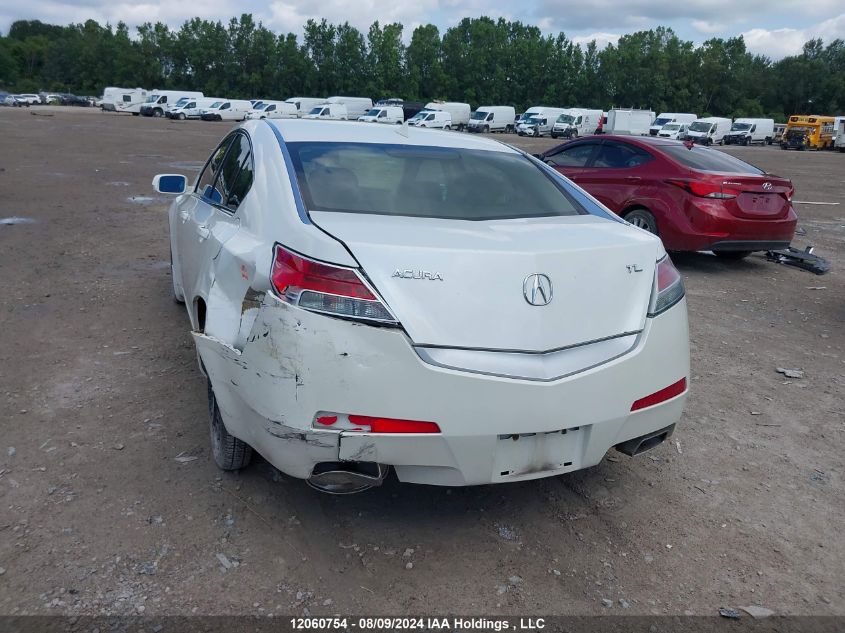 2010 Acura Tl VIN: 19UUA8F28AA801133 Lot: 12060754