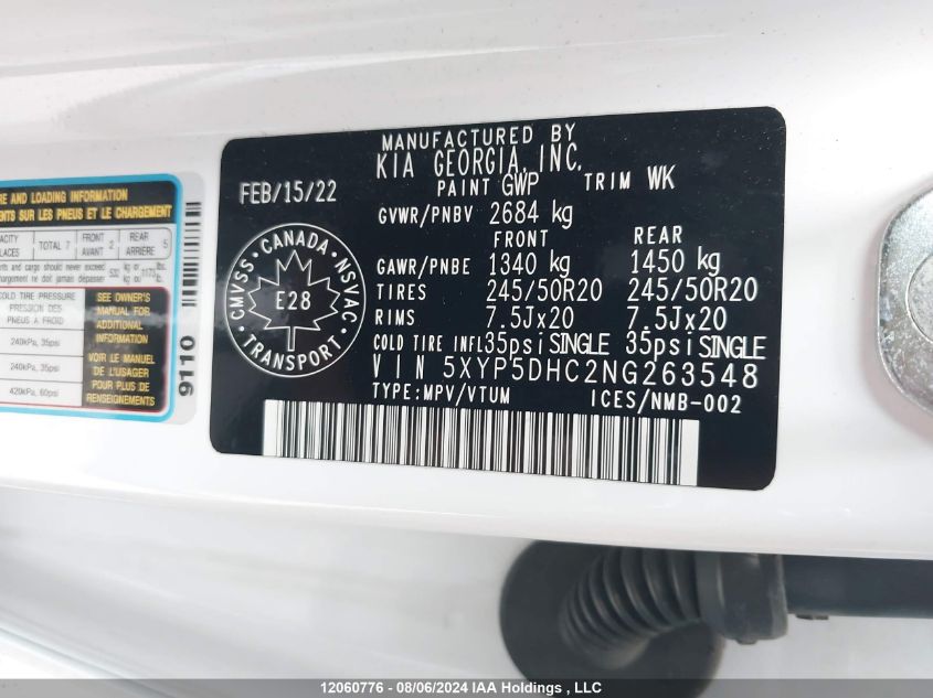 2022 Kia Telluride VIN: 5XYP5DHC2NG263548 Lot: 12060776