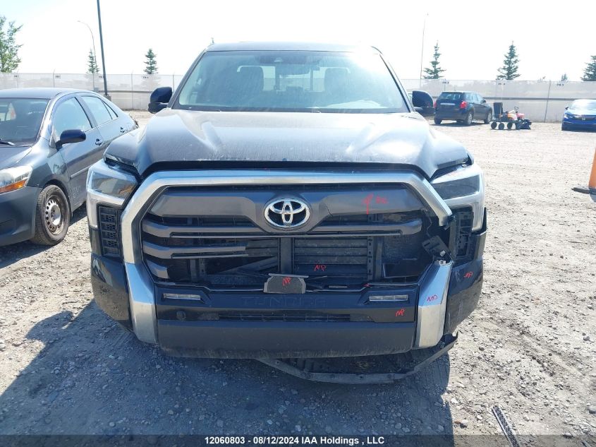 2022 Toyota Tundra Double Cab Limited VIN: 5TFJA5DA8NX032081 Lot: 12060803