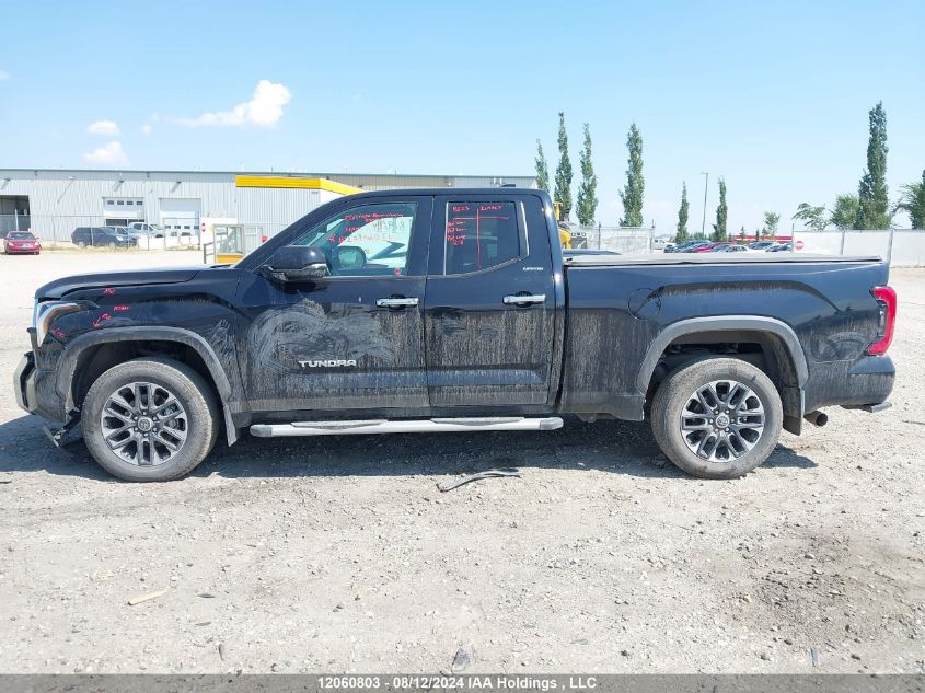 2022 Toyota Tundra Double Cab Limited VIN: 5TFJA5DA8NX032081 Lot: 12060803