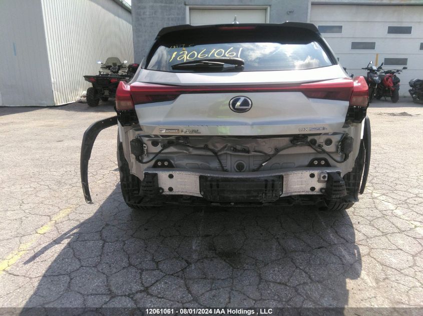 2019 Lexus Ux 250H VIN: JTHU9JBH8K2004030 Lot: 12061061