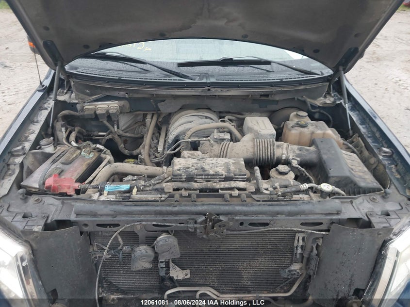 2009 Ford F-150 Stx/Xl/Xlt VIN: 1FTRX12899FB36410 Lot: 12061081